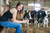 Happy Cows Create the BEST Product Supplements: