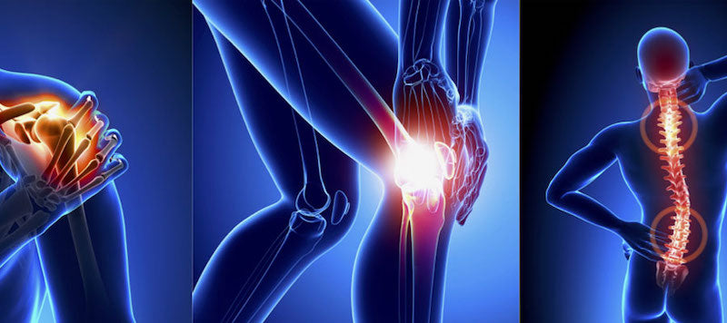 Caring for Your Bones + Joints